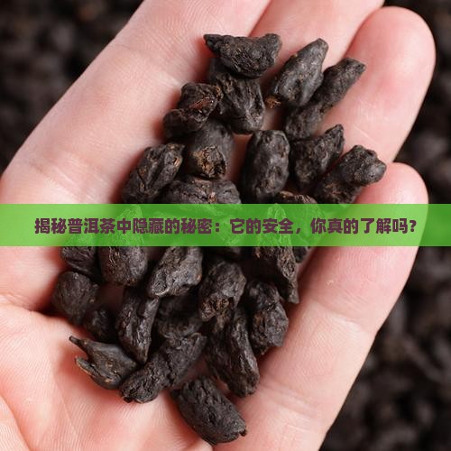 普洱茶有害物质检测
