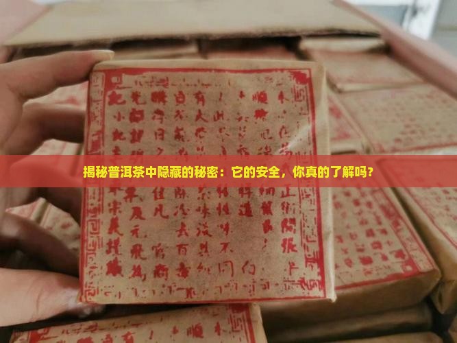 普洱茶有害物质检测