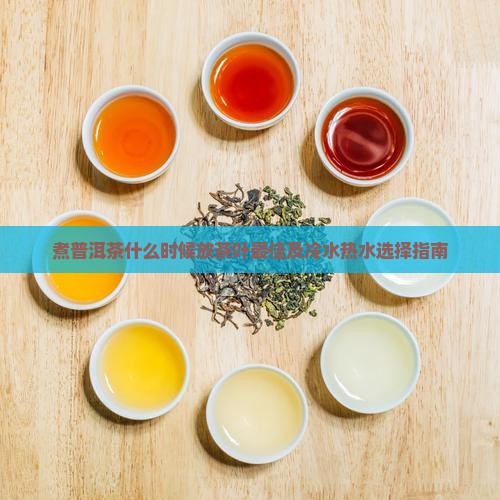 煮普洱茶什么时候放茶叶