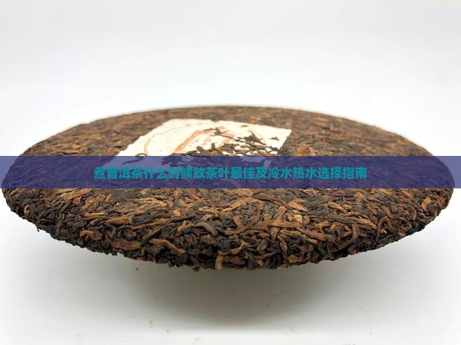 煮普洱茶什么时候放茶叶