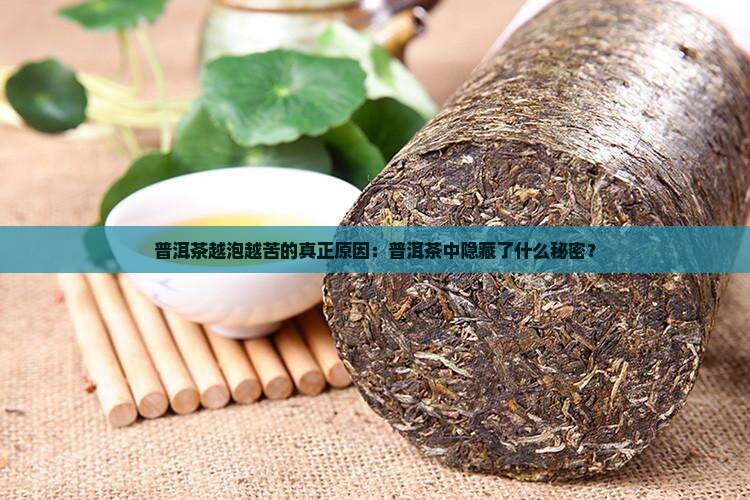 普洱茶越泡越苦