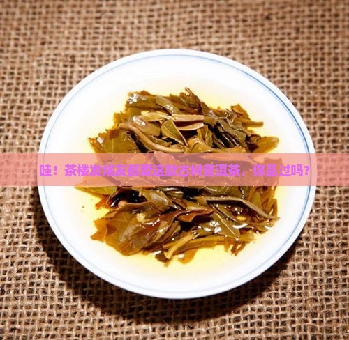 茶楼专用古树普洱茶