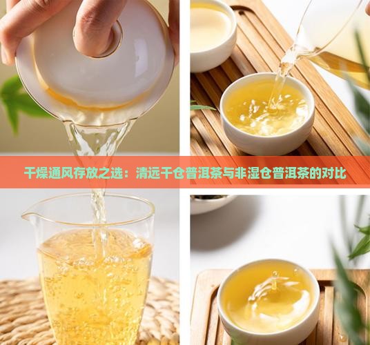 清远干仓普洱茶