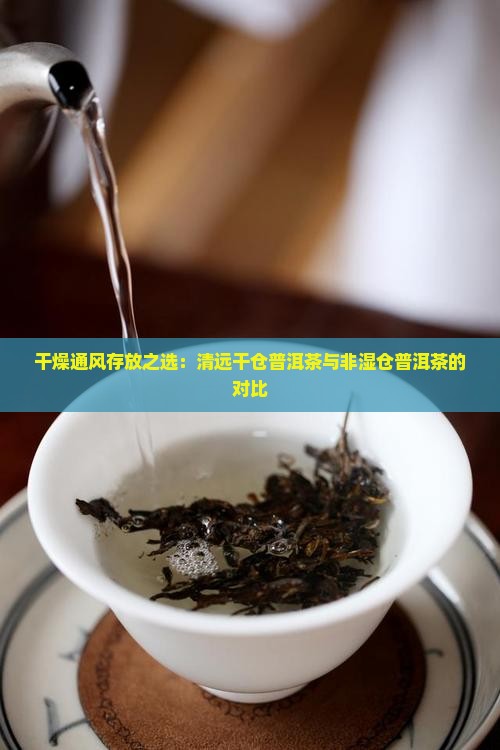 清远干仓普洱茶