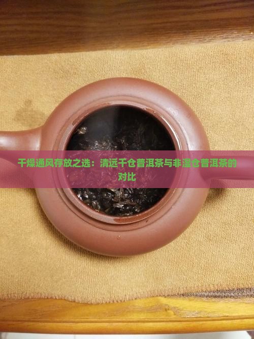 清远干仓普洱茶