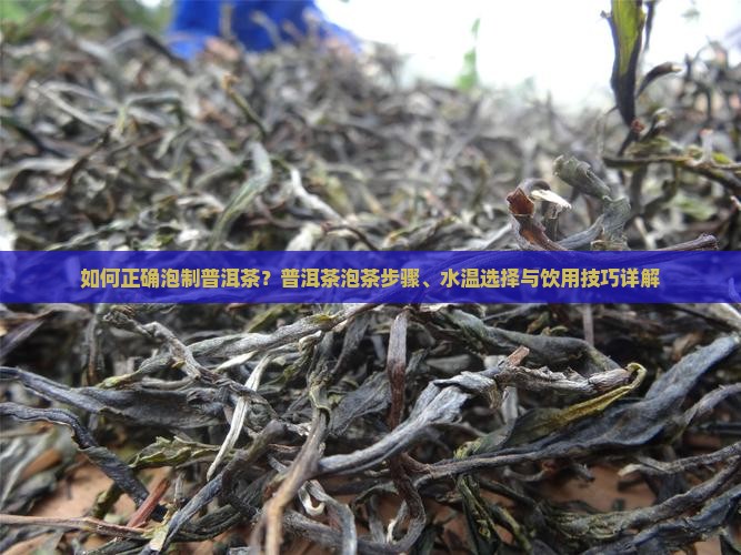 普洱茶如何泡成茶叶水喝
