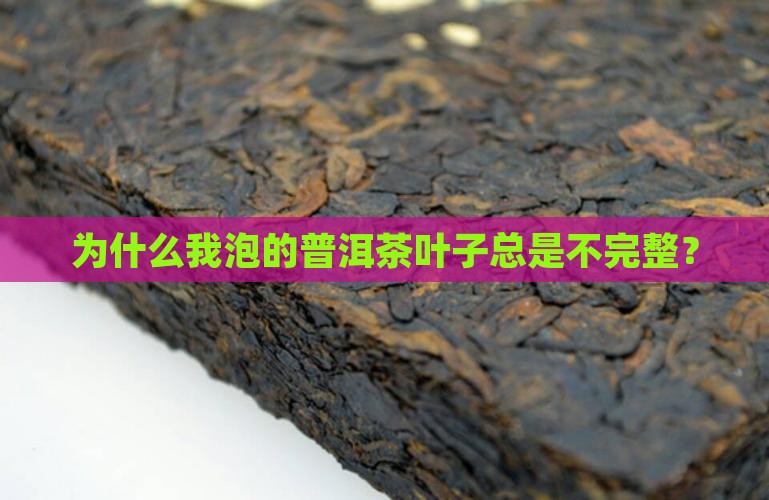 普洱茶泡出来叶子不完整