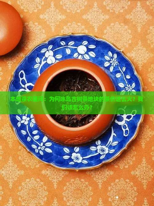 冰岛地界古树茶地块