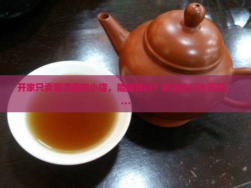 开店只卖普洱茶怎么样赚钱