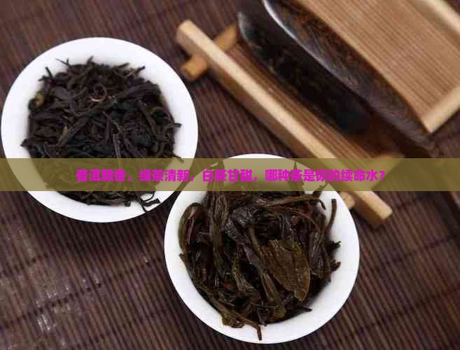 黑茶普洱茶绿茶白茶