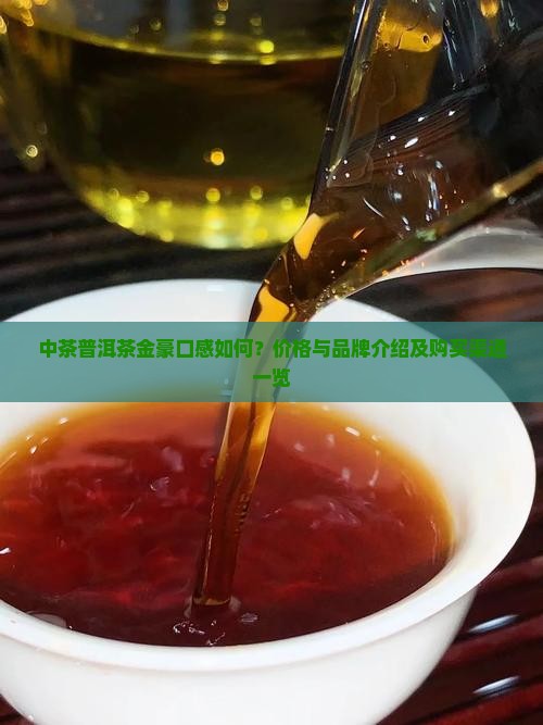 中茶普洱茶金豪