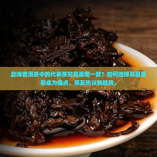 勐海普洱茶的代表茶是什么茶