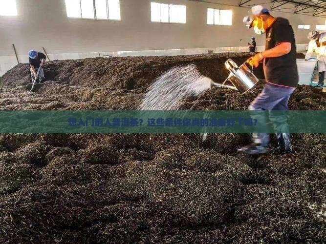入门做普洱茶必备的条件