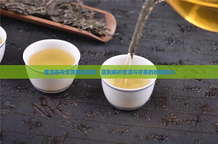 普洱茶与泾渭茯茶