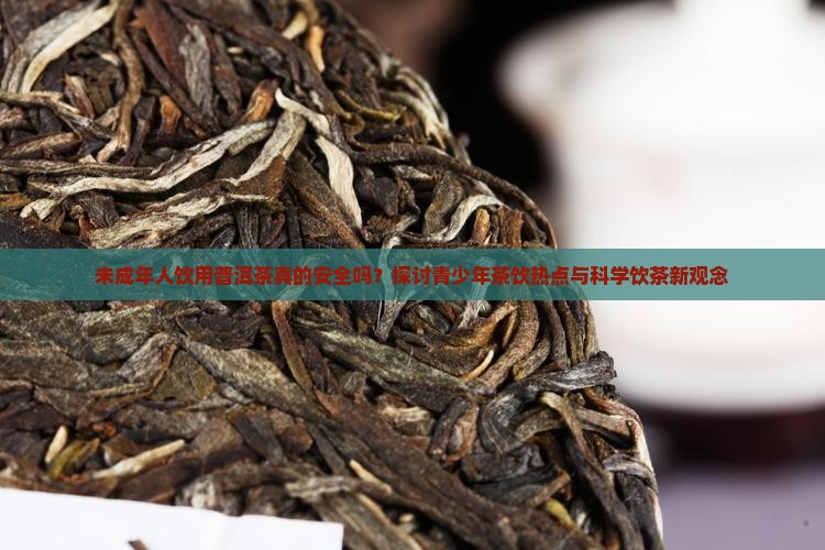 未成年能不能喝普洱茶