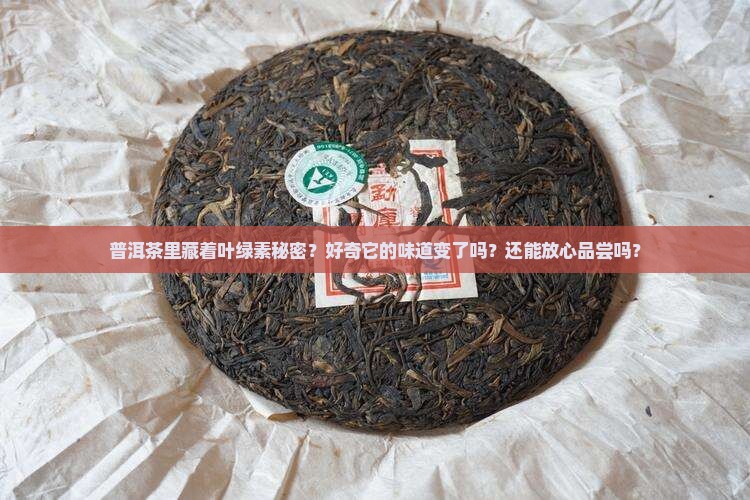 普洱茶有叶绿素吗好吗能喝吗