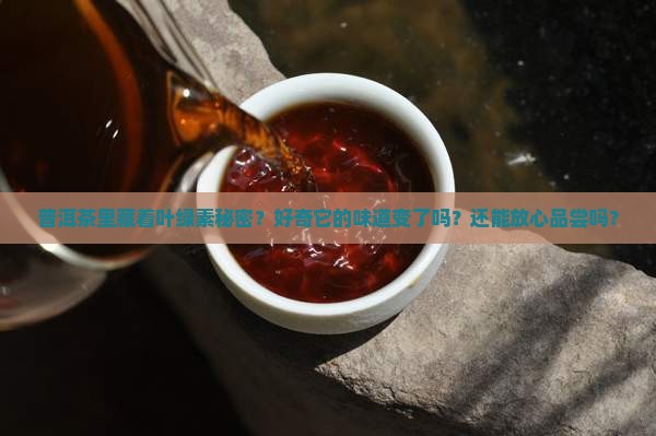 普洱茶有叶绿素吗好吗能喝吗