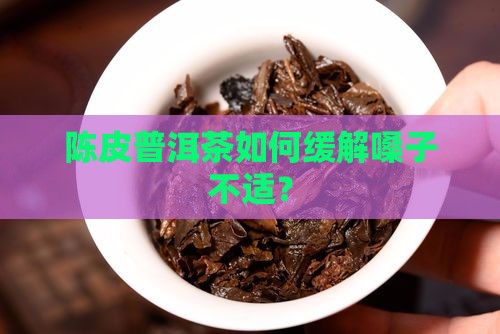 普洱茶哪种对嗓子好