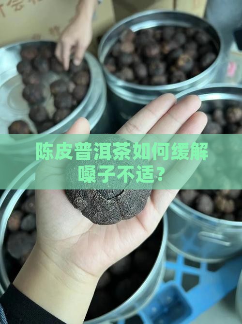 普洱茶哪种对嗓子好
