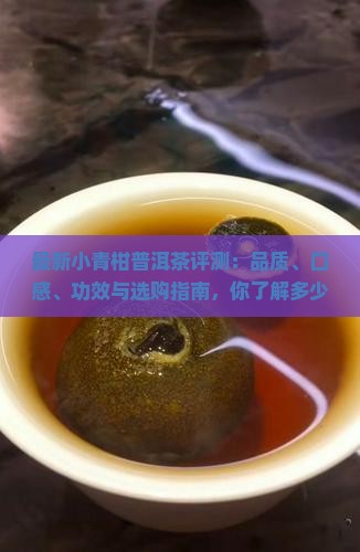 小青柑普洱茶评测表最新