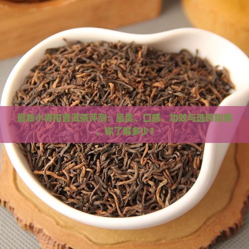 小青柑普洱茶评测表最新