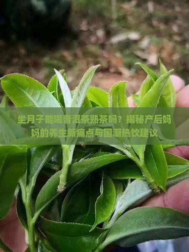 坐月子能喝普洱茶熟茶吗