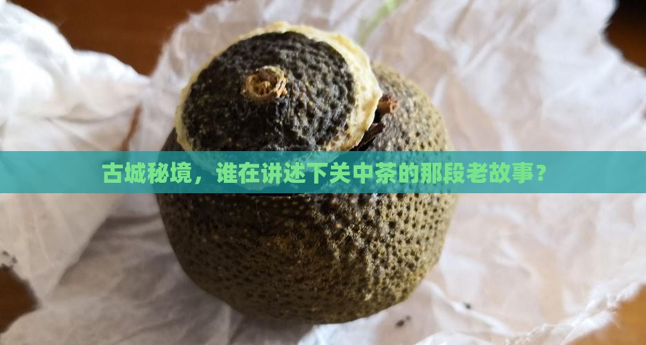 下关中茶老同志