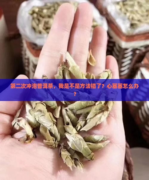 普洱茶第二次冲泡