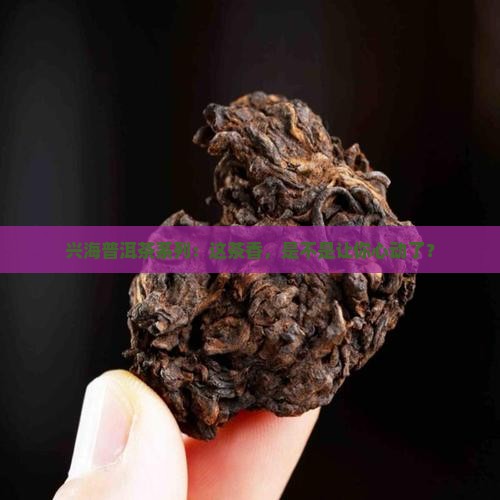 兴海普洱茶系列