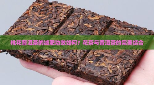 桃花普洱茶减肥效果怎么样