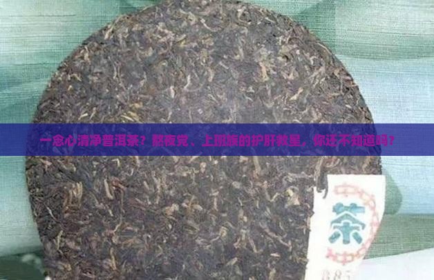 一念心清净普洱茶