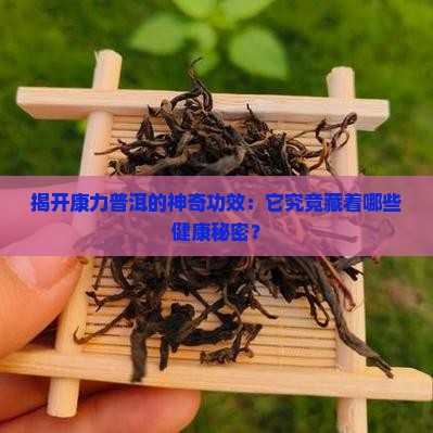 康力普洱茶的作用