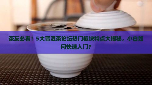 普洱茶论坛各板块和特点