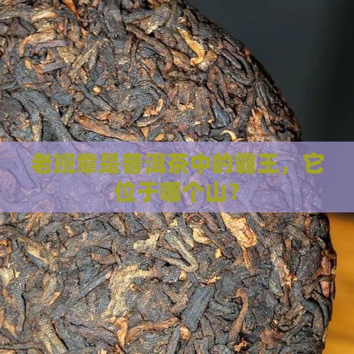 老班章是哪个山的
