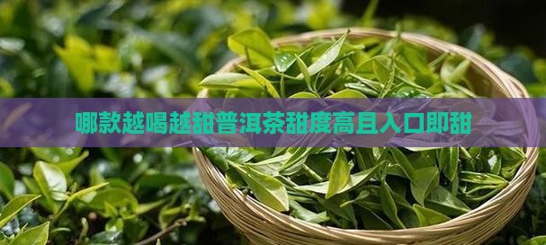 哪款越喝越甜普洱茶