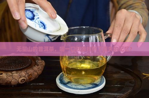 无量山普洱茶的口感特点