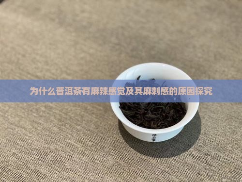 为什么普洱茶有麻辣感觉
