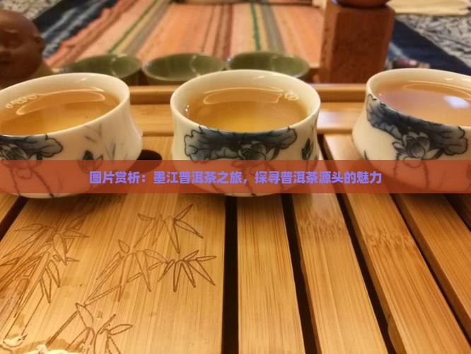 墨江远洋号普洱茶