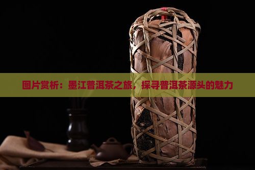 墨江远洋号普洱茶