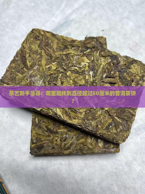 求购超大尺寸普洱茶饼