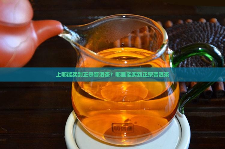 上哪能买到正宗普洱茶