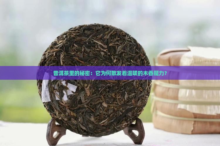 为什么有的普洱茶有木香 为什么有的普洱茶有木香