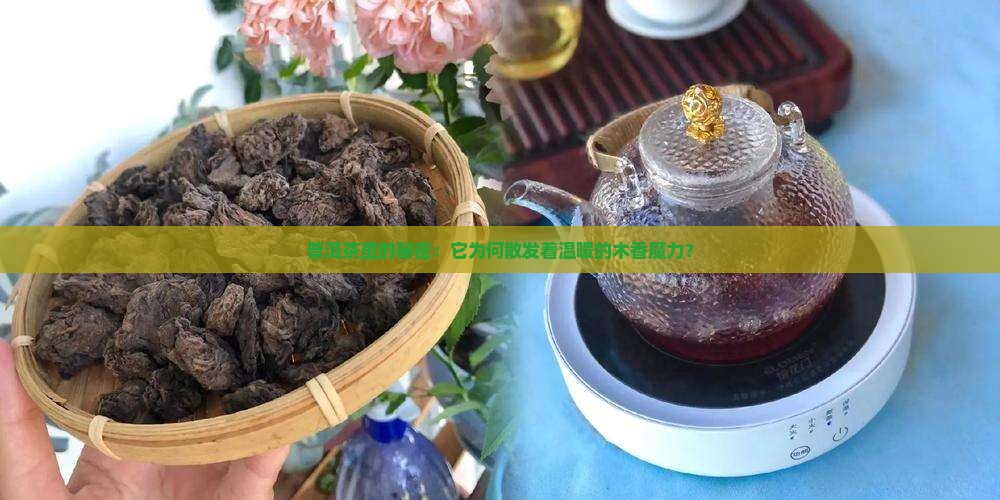 为什么有的普洱茶有木香 为什么有的普洱茶有木香