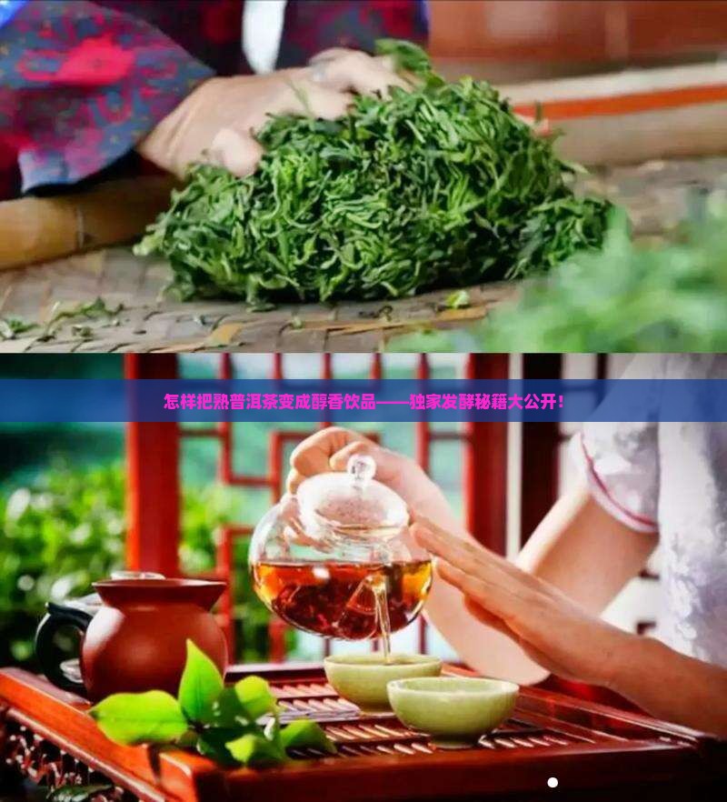 熟普洱茶要怎么发酵才能喝
