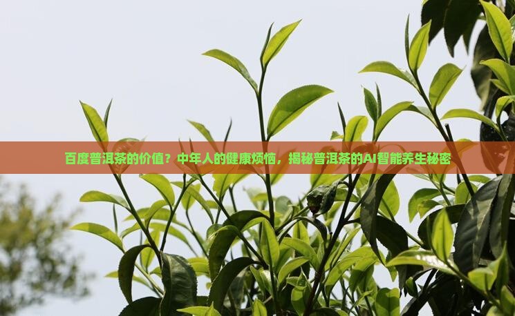 百度普洱茶的价值