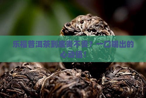 乐福普洱茶价格 乐福普洱茶价格