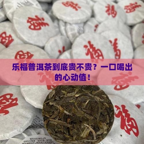 乐福普洱茶价格 乐福普洱茶价格