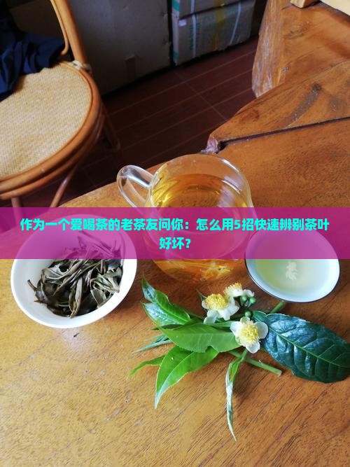 怎么辨别茶叶的好坏