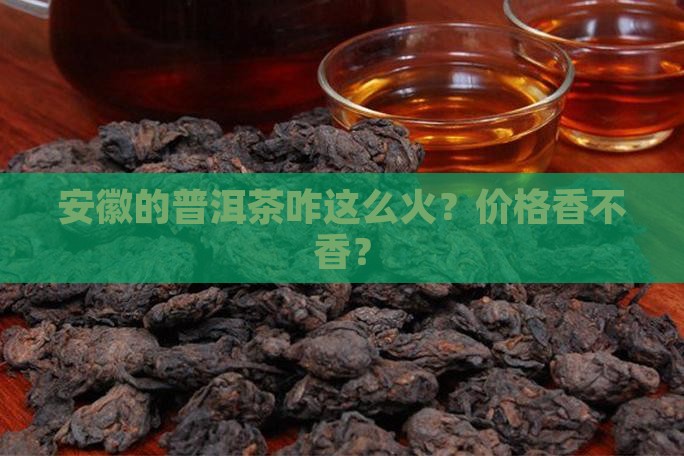 安徽普洱茶价格供应