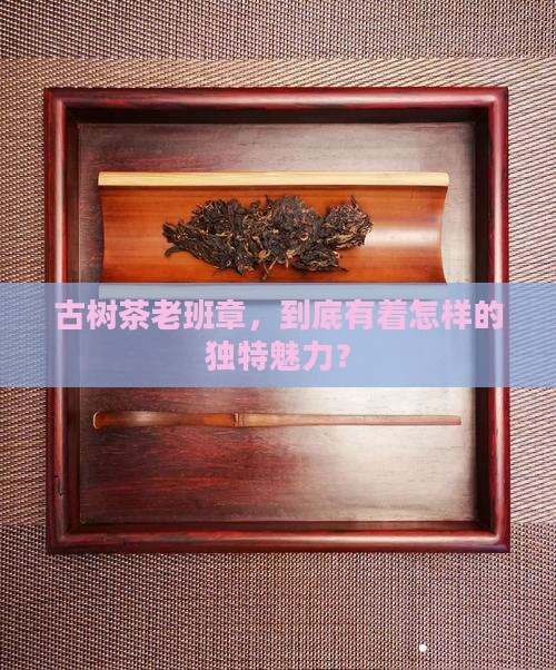 古树茶老班章怎么样